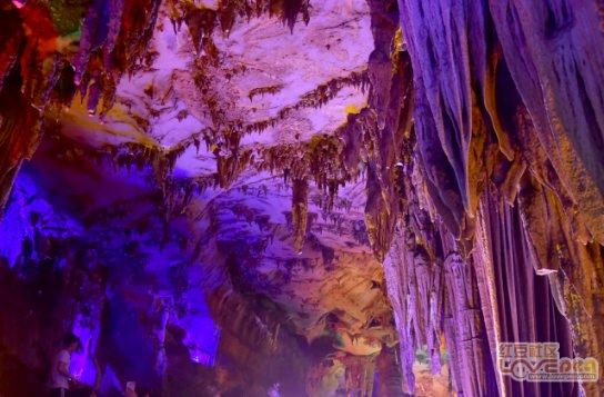 瑞德的冒险之旅中文版